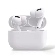 Earbuds